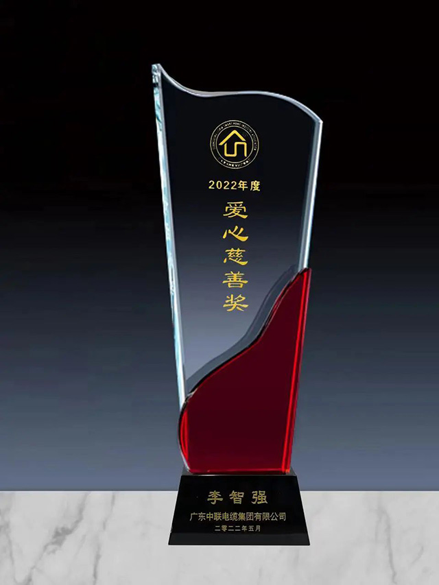 爱心慈善奖 爱心慈善奖