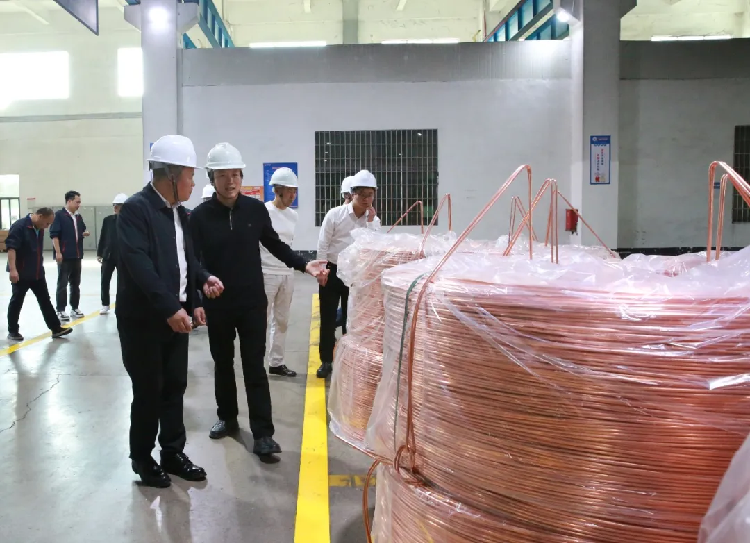 政府关怀｜湖北省还地桥镇朱勇强书记莅临广东中联电缆集团考察