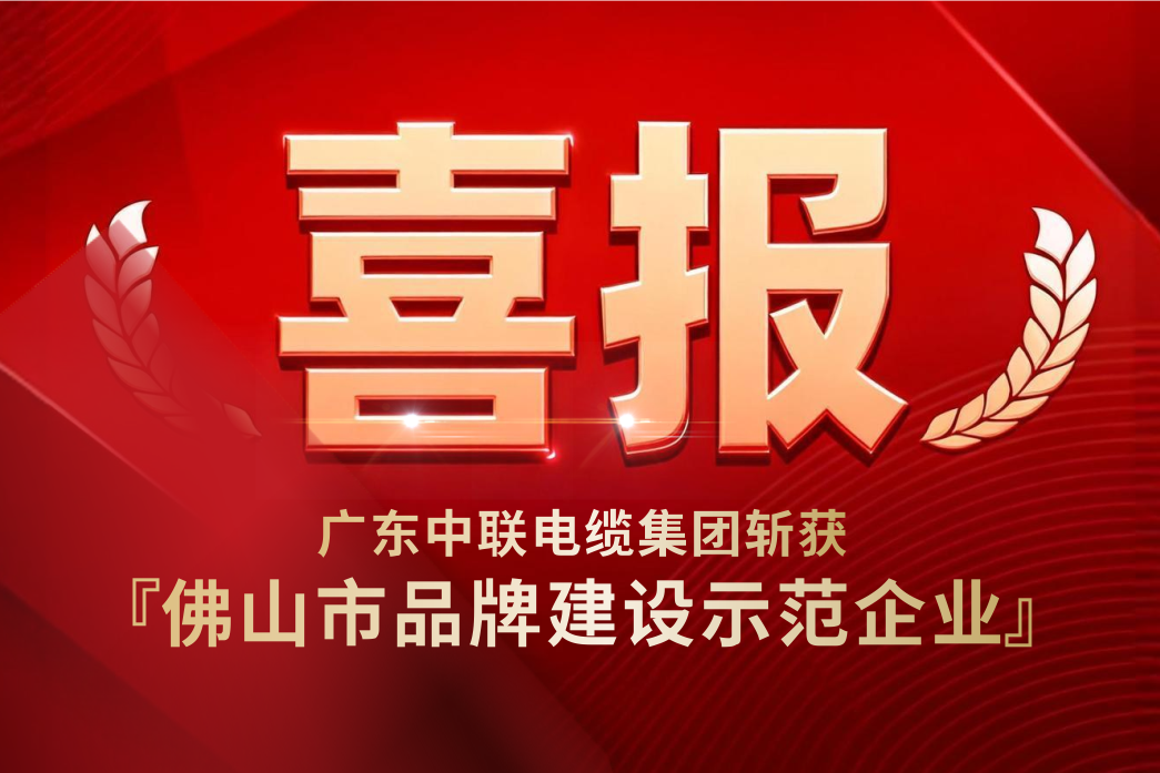 品牌实力获认可！广东中联电缆集团获2025年“佛山市品牌建设示范企业”